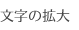 文字サイズ